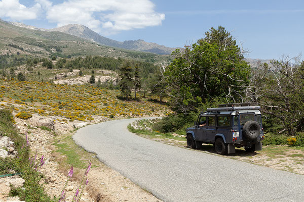 03.06. Zwischen Col de Vergio und Calacuccia