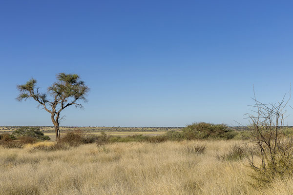 11.03.Die schöne Landschaft lässt uns kaum los. Die Mabua sieht uns wieder und dann für längere Zeit, das steht fest!