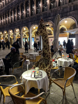 11.02. Auf dem Weg zum Hotel treffen wir am Markusplatz auf eine Giraffe.