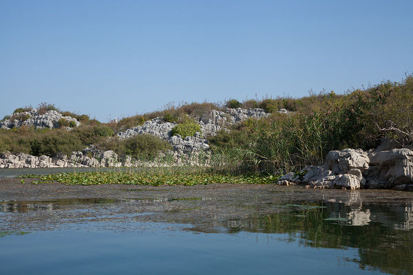 16.9. Bootsfahrt am Skadarsko Jezero