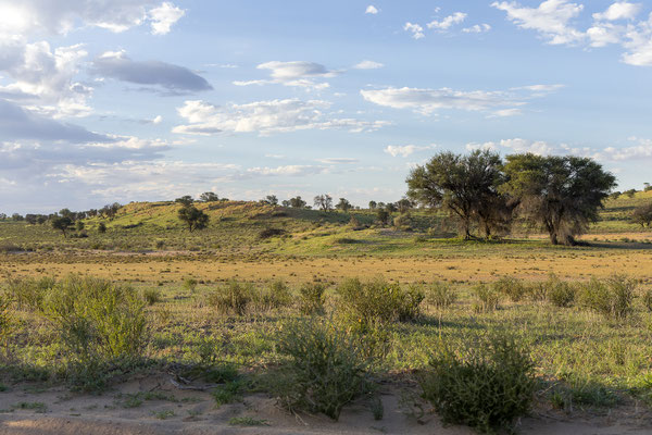 03.03. Der KTP erscheint schön grün, auch wenn die heurige Regenzeit nicht großartig ist.