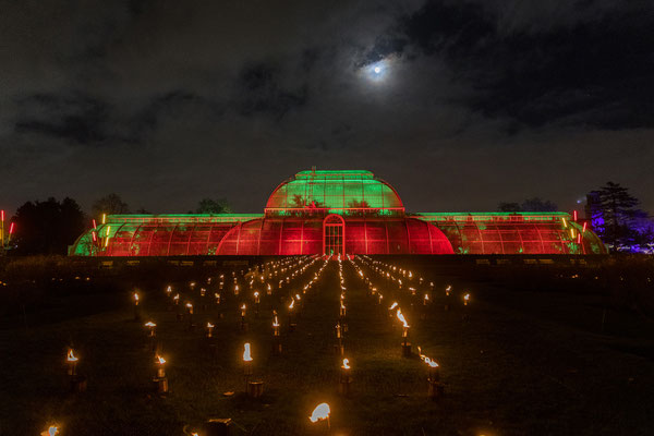 Christmas at Kew