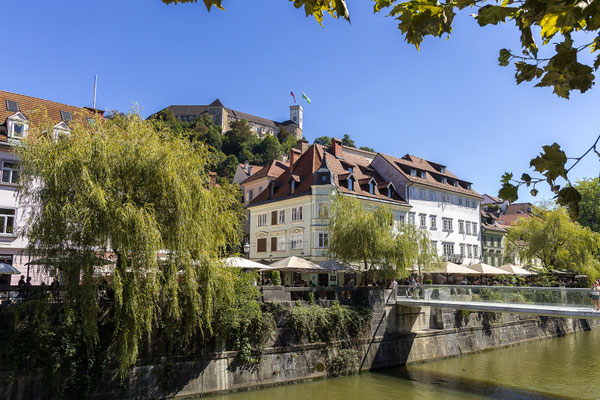 Immer wieder bietet sich ein schöner Blick auf die Burg.