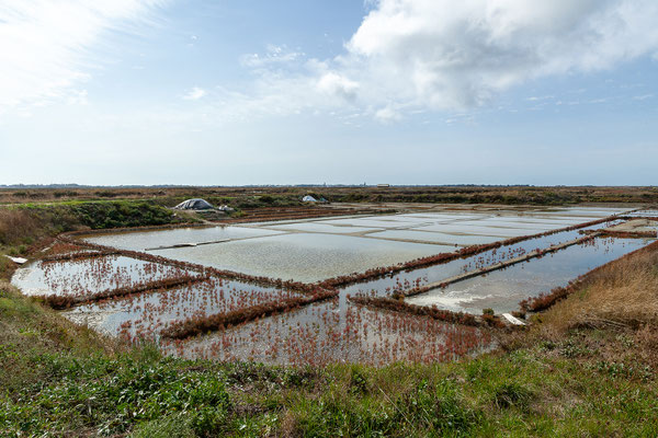 Salzgärten von Guérande
