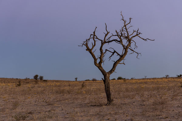 06.03. Polentswa: Sonnenuntergang und Sternenhimmel enttäuschen auch heute nicht!