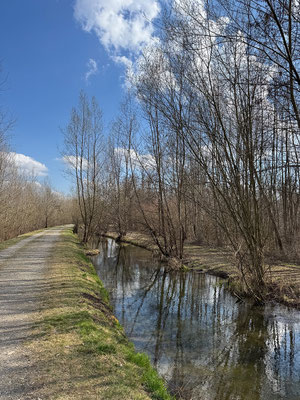 15.03. Murauen Gössendorf