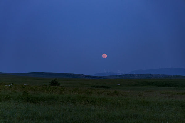 Später geht ein perfekter Vollmond auf.