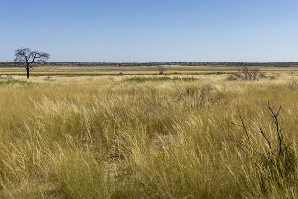 10.03. Die Landschaft ist unfassbar schön, das habe ich bereits erwähnt, oder?