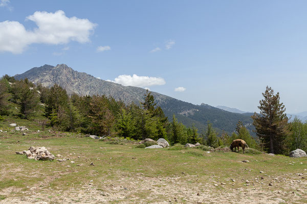 03.06. Col de Verghio