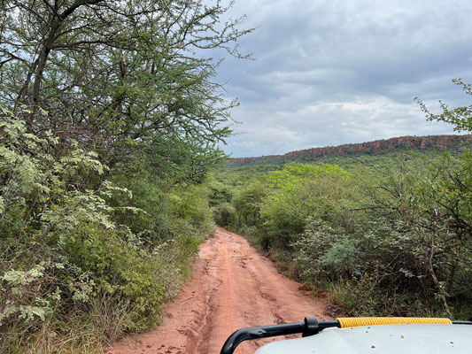 ... zu zwei kürzeren Wanderwegen am Fuße des Waterbergs.