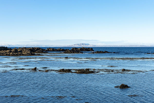 Illugastaðir Seehundkolonie