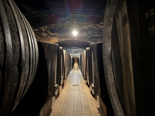 Vinag 1847 ist einer der größten und ältesten klassischen Weinkeller Europas. Der älteste Teil mit 15000 m2 und 2,1 km Länge wurde 1847 erbaut.