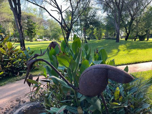 21.03. Drotsky's Cabins