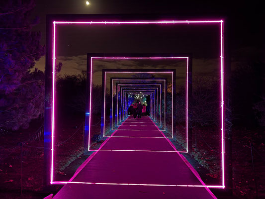 Christmas at Kew