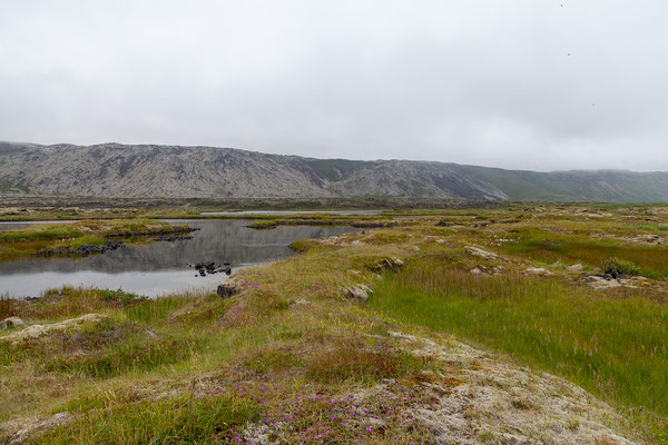 31.07. Auf der Heimfahrt halten wir am Hlíðarvatn - schön!