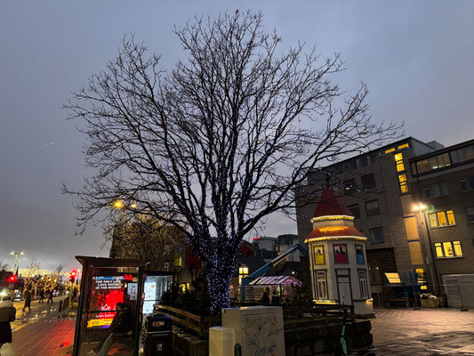Reykjavík 