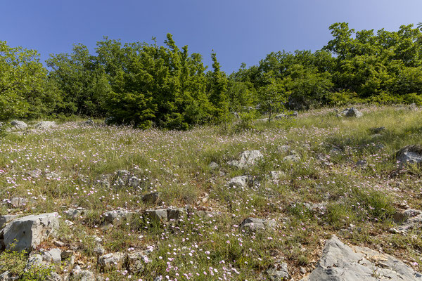 Planina Cincar - Livno