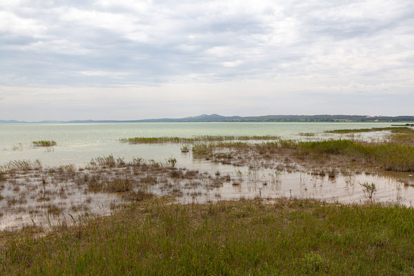 07.06. Naturpark Vransko Jezero - Crkvine