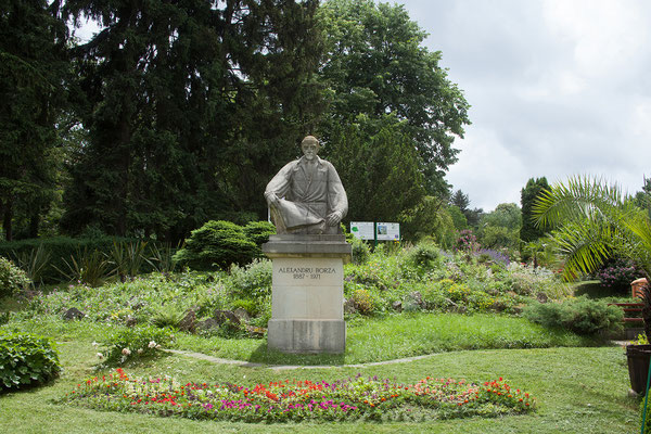 17.06. Cluj: Botanischer Garten 