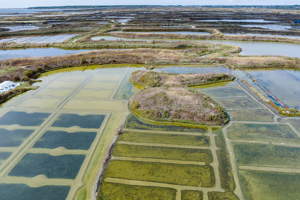 Salzgärten von Guérande