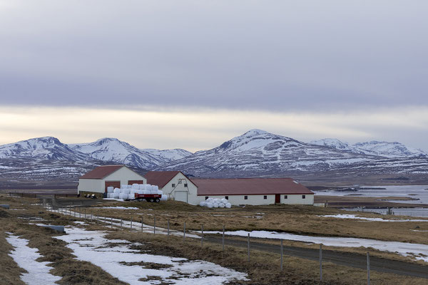 Über den Snæfellsnesvegur nähern wir uns der Snæfellsnes Halbinsel