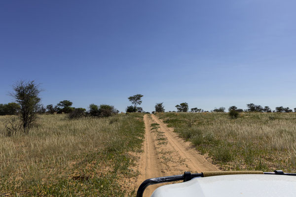 09.03. Nossob - Mabua