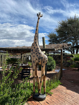 28.03. Um 15:40 sind wir bei Safari Car Rental und geben die Autos zurück.