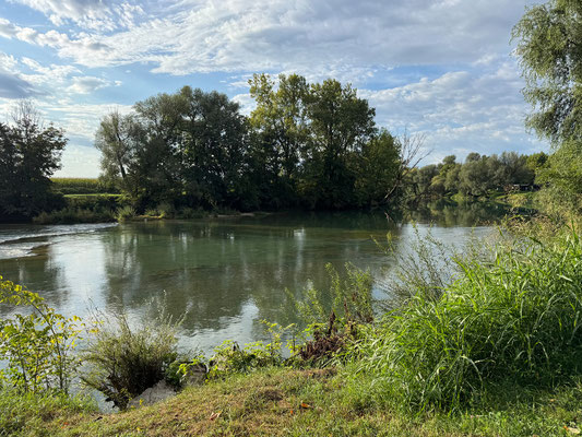 02.09. Wir genießen unseren schönen Flussblick und ...