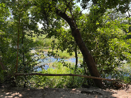 20.03. Es folgt ein gemütliches Frühstück auf unserer Campsite.