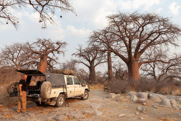 24.09. Kubu Island: wir suchen uns einen netten Platz zwischen Baobabs und African Chestnuts. Campsite Nummer hat er keine, was aber nicht stört als der Ranger die Campinggebühr kassiert.