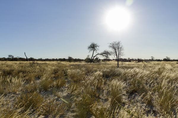 10.03. Evening Drive