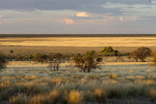 09.03. Bosobogolo 02 Campsite