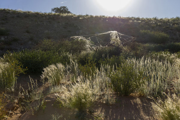 04.03. Evening Drive