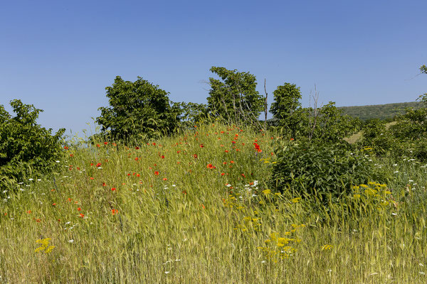 Planina Cincar - Livno
