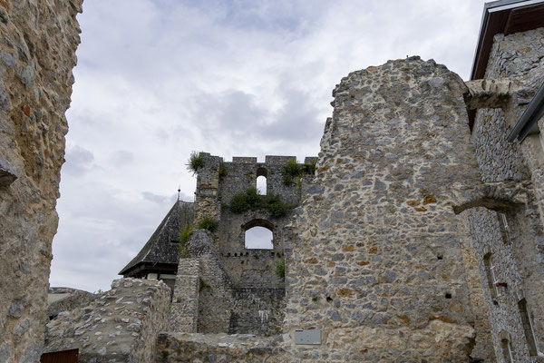 Celje Castle