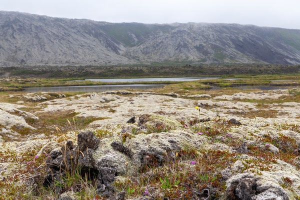 31.07. Hlíðarvatn