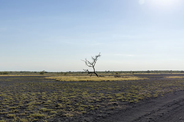 ... führt uns heute durch das malerische Deception Valley.