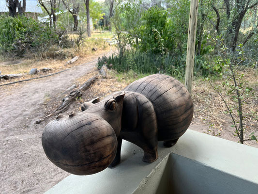 16.03. Boteti River Camp: wir fühlen uns hier wie immer sehr wohl!