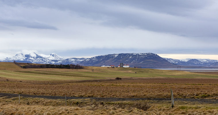 Im malerischen Hvalfjörður liegt (streng gesichtert und mit Fotoverbot) Islands letzte Walfangstation. 2025 wurde die Fangsaison übligens komplett abgesagt :-)!