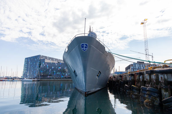 30.07.  Special Tours Whalewatching: Hafen