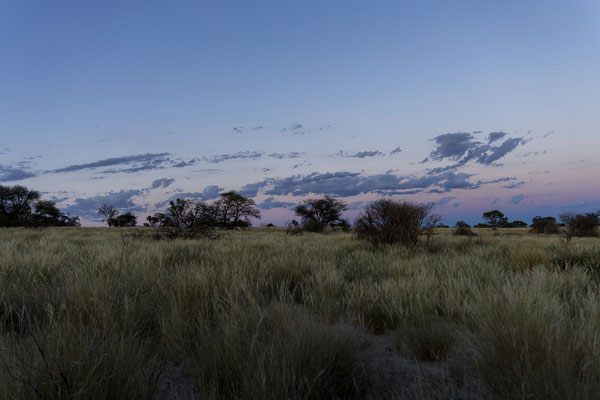 09.03. Bosobogolo 02 Campsite