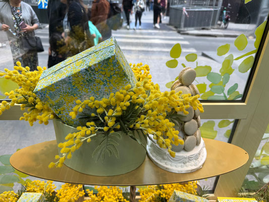 Bei Ladurée legen wir eine schmackhafte Pause ein.