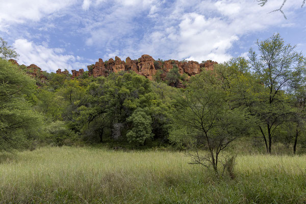 26.03. Seinen Namen bekam der Waterberg durch zahlreiche Quellen. Diese entstehen durch Regenwasser, das durch den porösen Sandstein des Plateaus sickert u auf darunter liegende undurchlässige Gesteinsschichten trifft u sich seine Wege nach draussen sucht