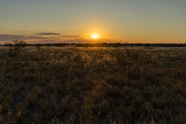 14.03. Evening Drive
