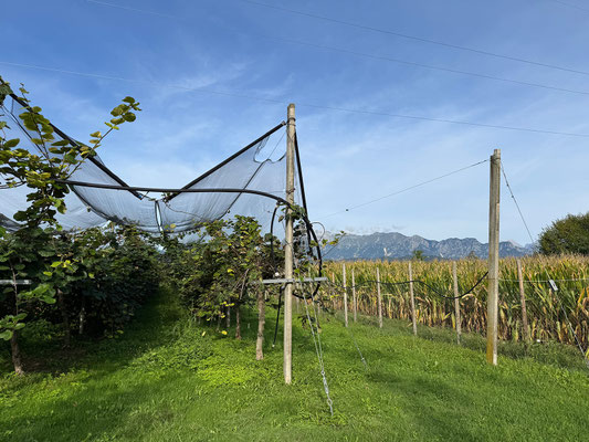 Agriturismo Sasso d'Oro