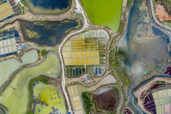 Salzgärten von Guérande