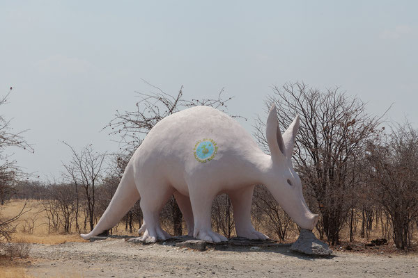 23.09. Bis Gweta ist es nicht weit. Wir tanken und fahren dann zum Planet Baobab. 
