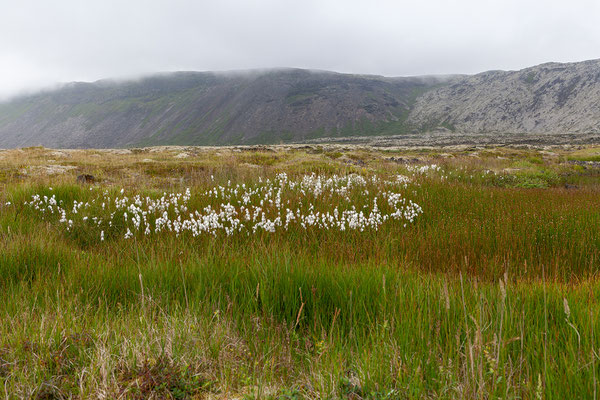 31.07. Hlíðarvatn