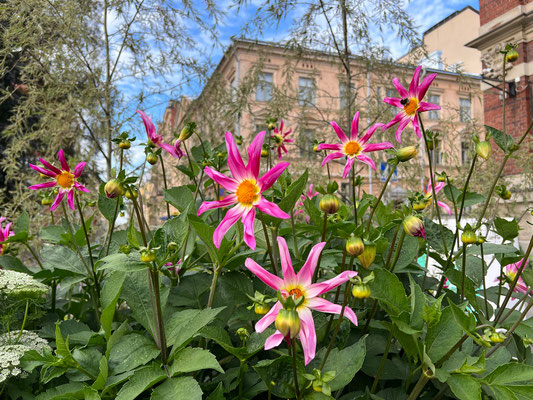 13.08. Gemütlicher Park vor dem Design Museum.