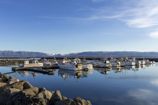 in Sauðarkrókur spazieren wir durch den hübschen Hafen.